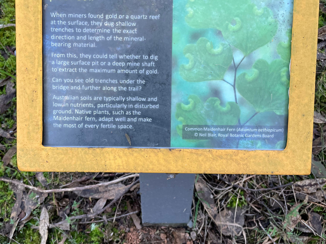 Candlebark Nature Trail-Eildon必去景点