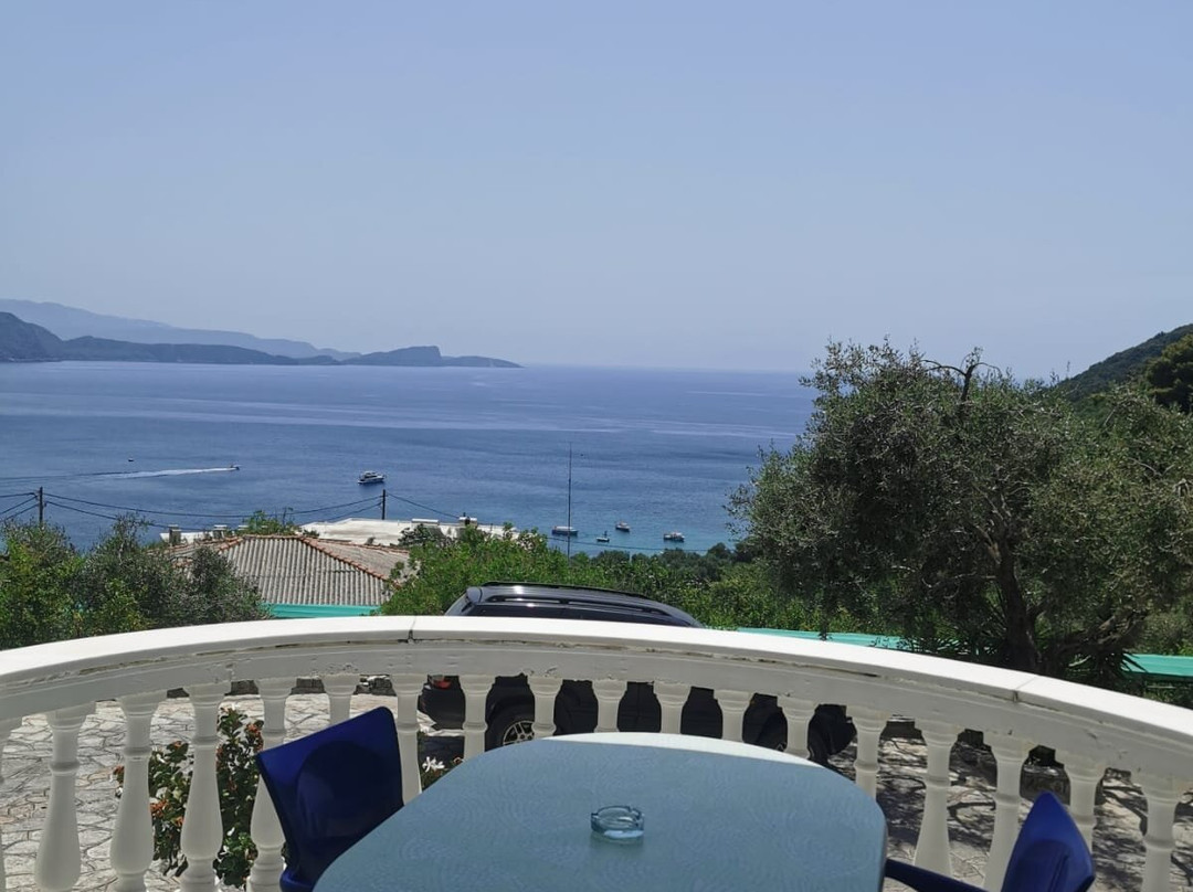 Dolphin Apartments主图