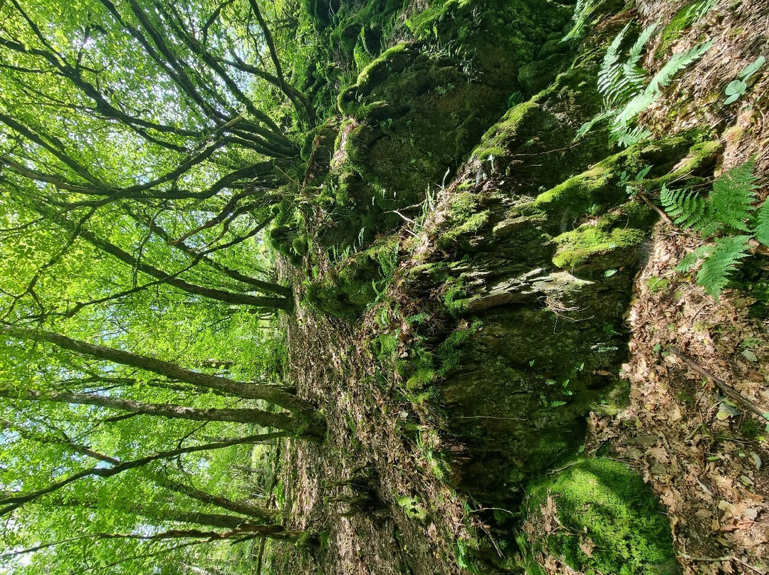 Hoscheid Klangwanderweg-Hoscheid必去景点