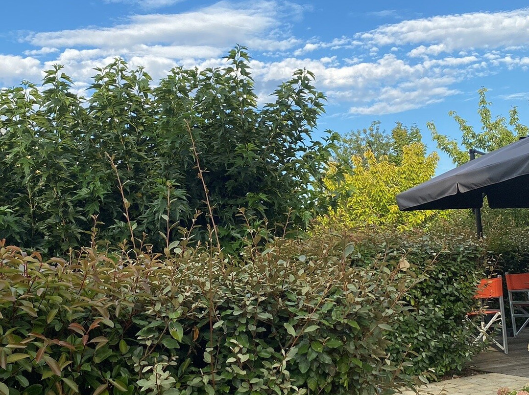 Logis Hôtel la Vinaigrerie主图