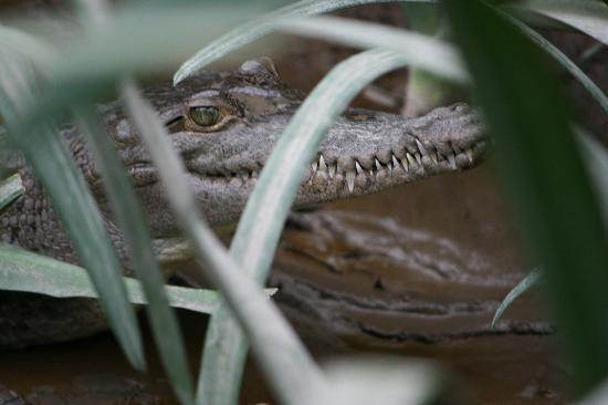 Xplore Costa Rica-塔马林多必去景点