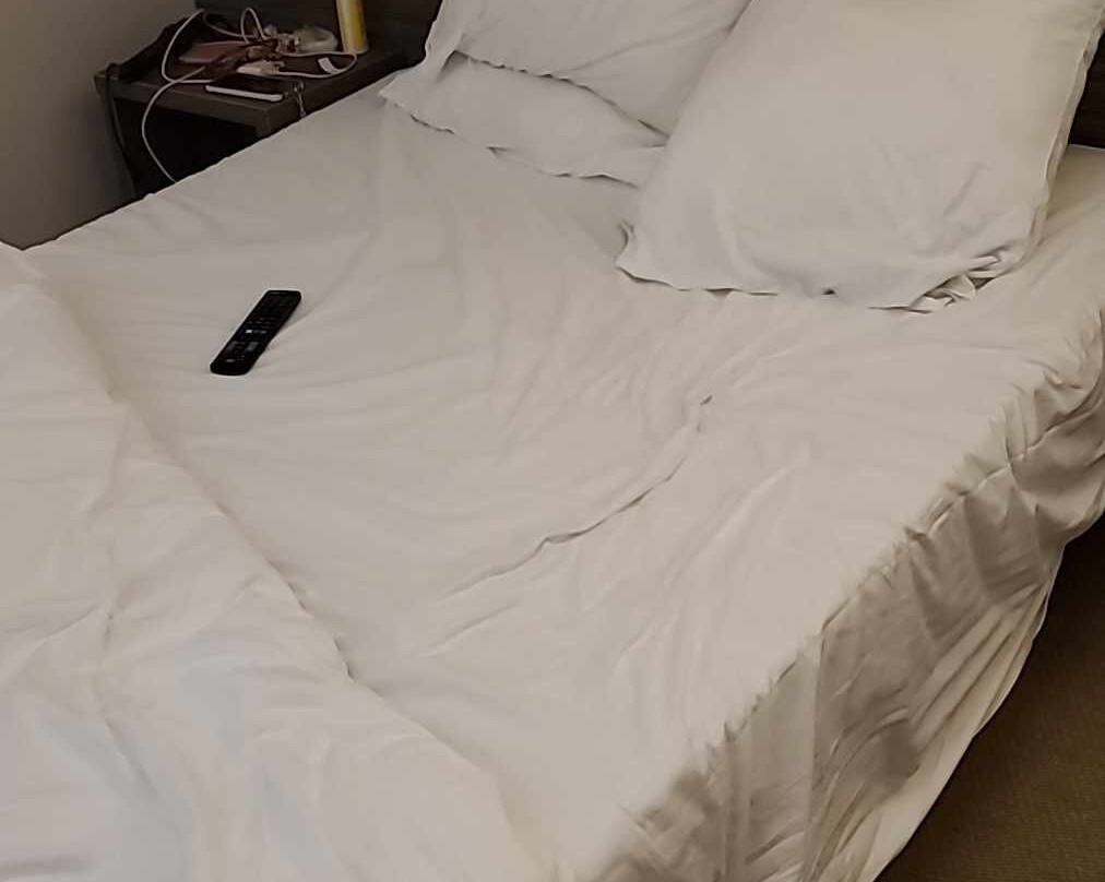 Hotel du Midi主图