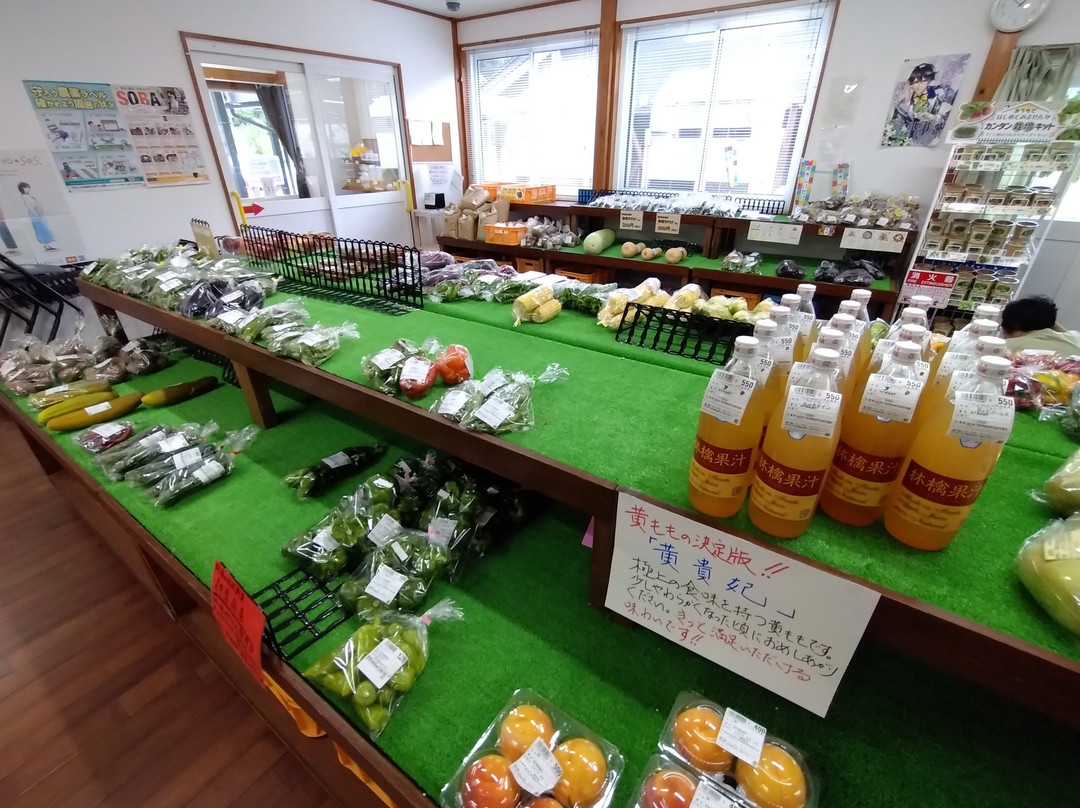 Michi-no-Eki Iwaizumi-岩泉町必去景点