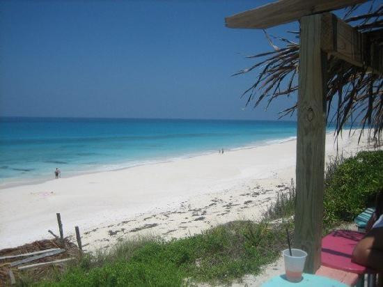 Nippers Beach Bar & Grill景点图片