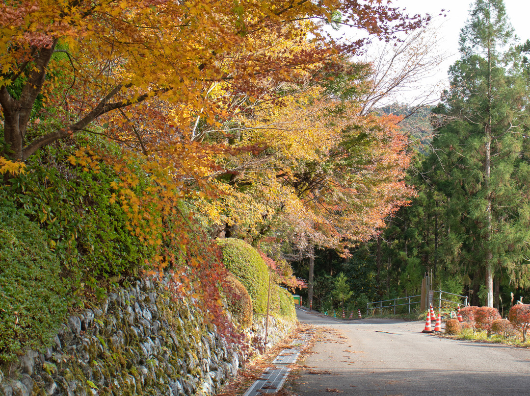 Kurotakiji Temple-那贺町必去景点