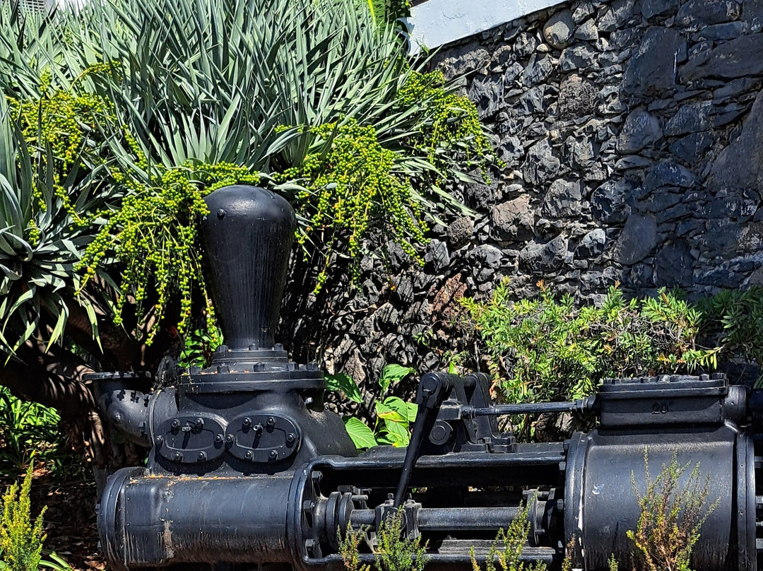 Old Distillery Equipment-Estreito da Calheta必去景点