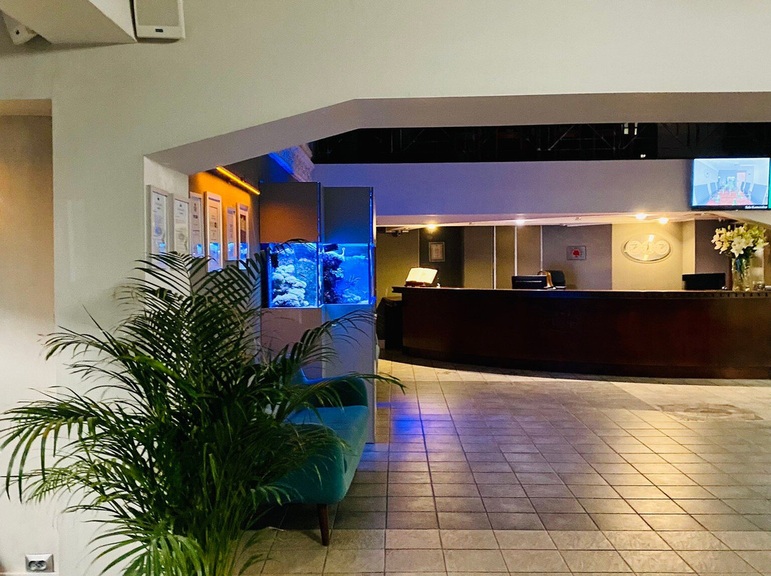 Witek Hotel And Conference Centre主图