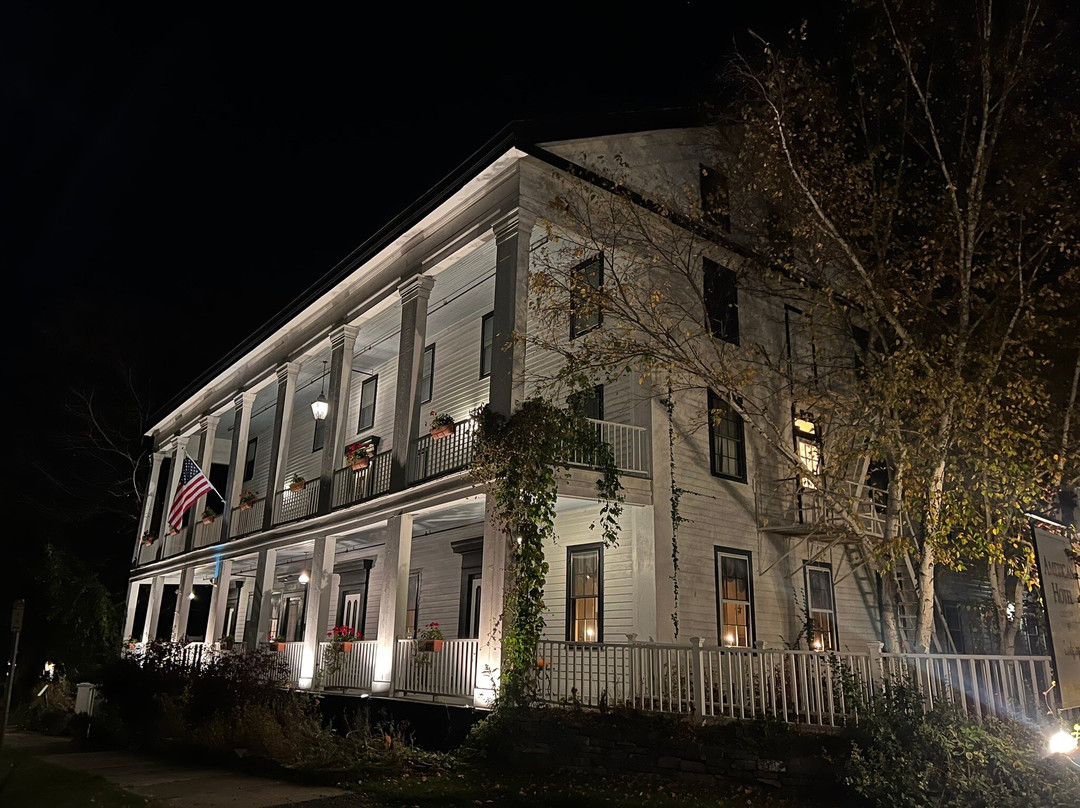 The American Hotel主图