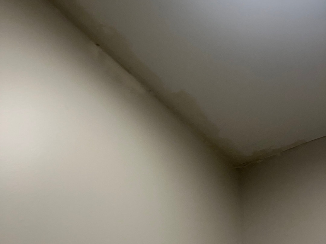 Vinchester Inn主图