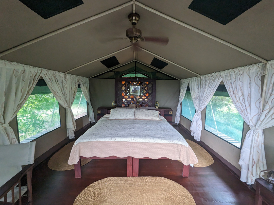 Selous Impala Camp主图