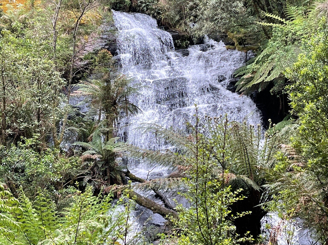Triplet Falls-Beech Forest必去景点