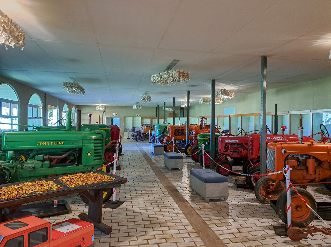 Winelands Light Railway-斯泰伦博斯必去景点