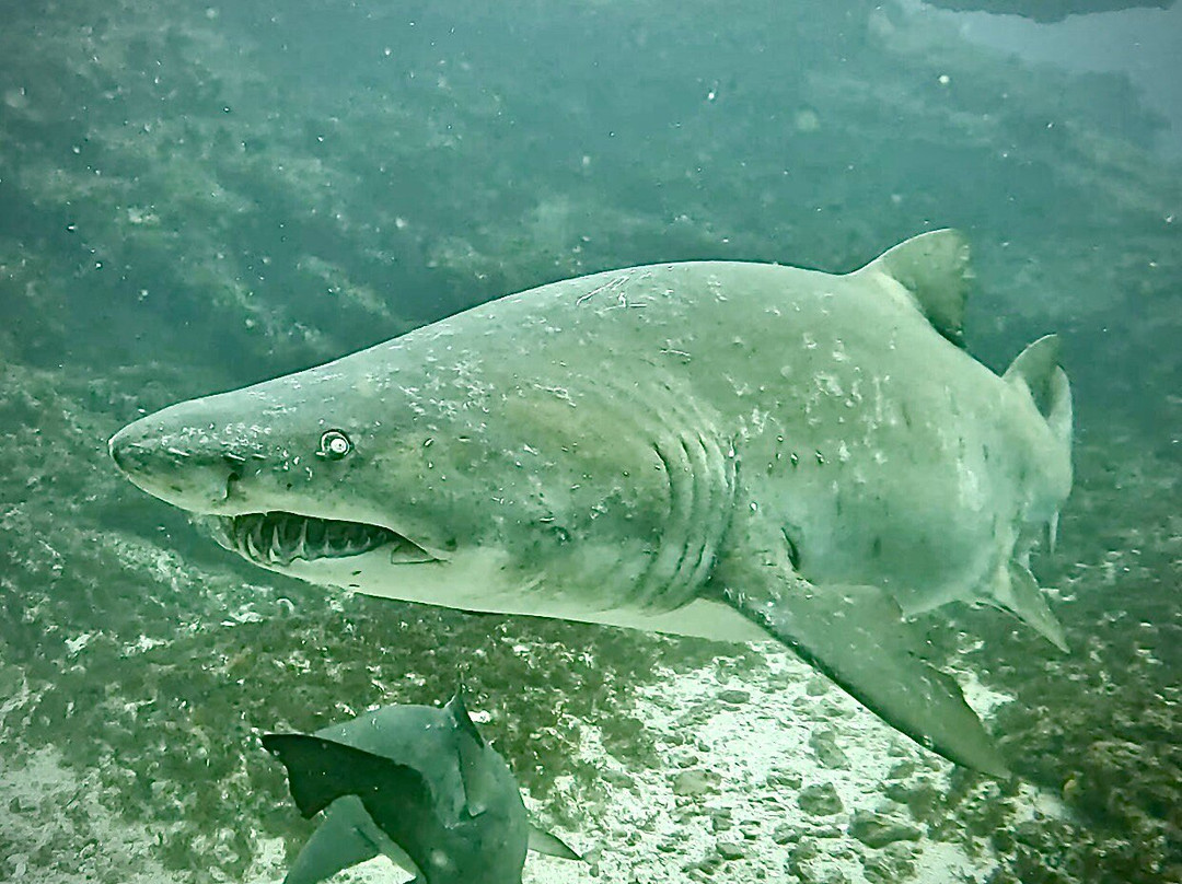 Mozambique Experience-托佛必去景点