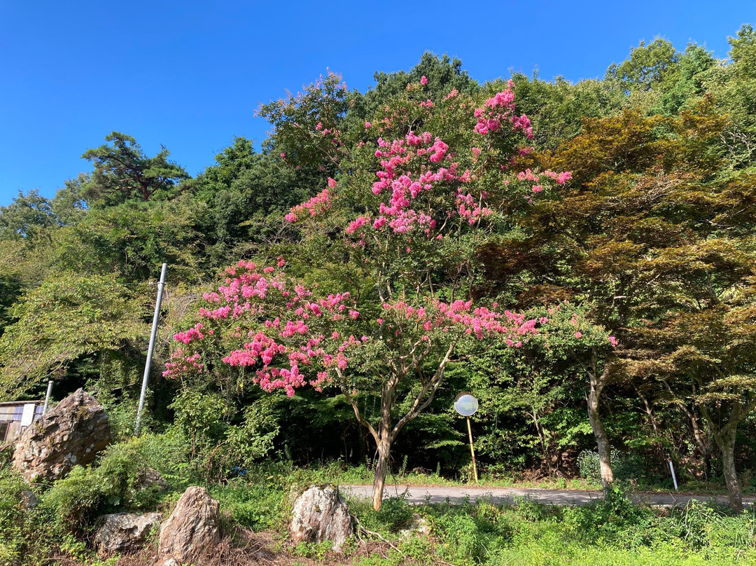 须贺谷温泉主图