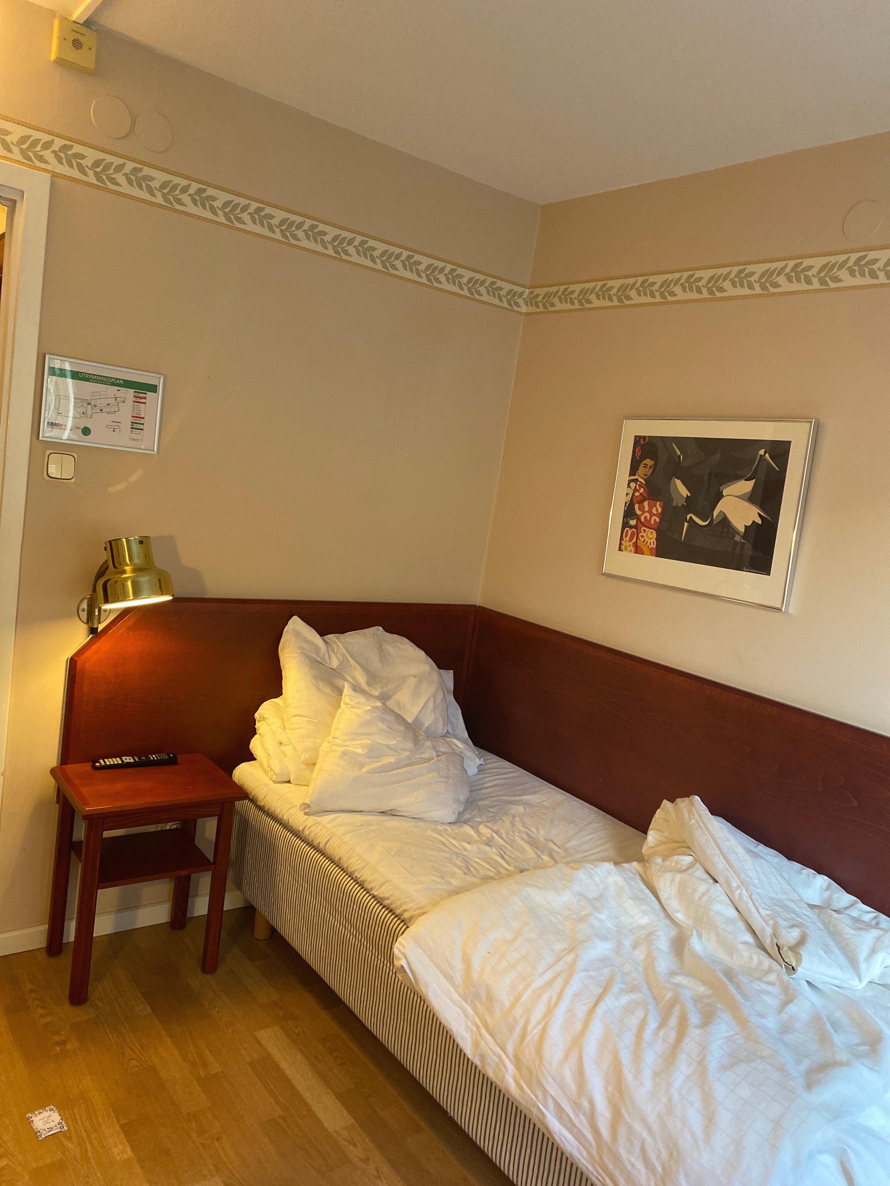 奥基迪酒店-客卧