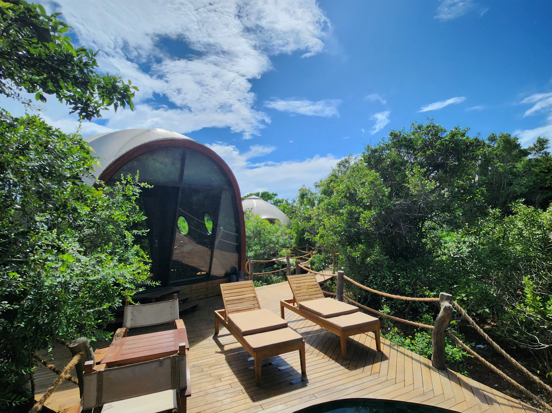 Wild Coast Tented Lodge - Relais & Chateaux主图