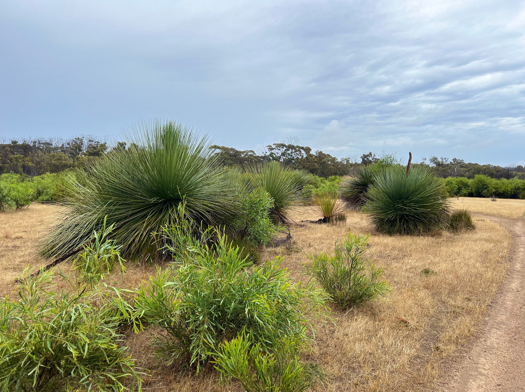 Kangaroo Island Bush Getaway Quad Bike (ATV) Tours景点图片