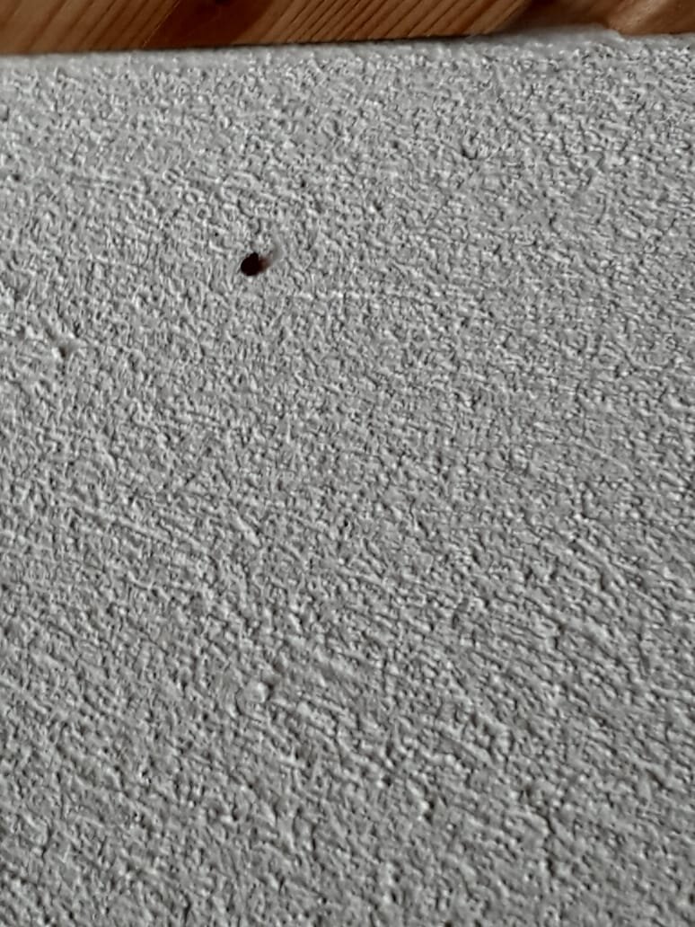 Hotel Restaurant Karwendelblick-客卧