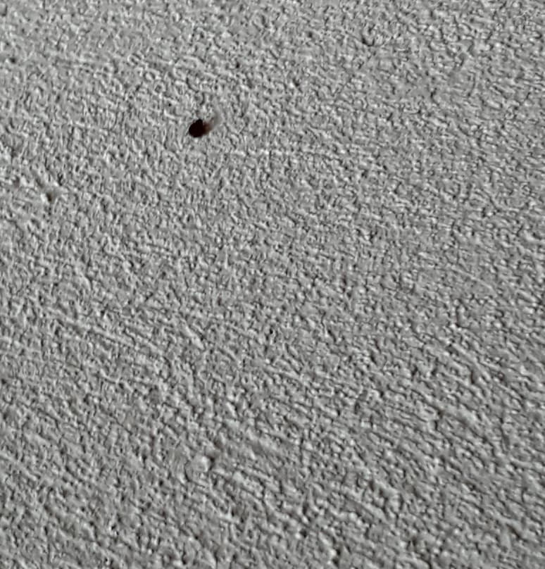 Hotel Restaurant Karwendelblick主图