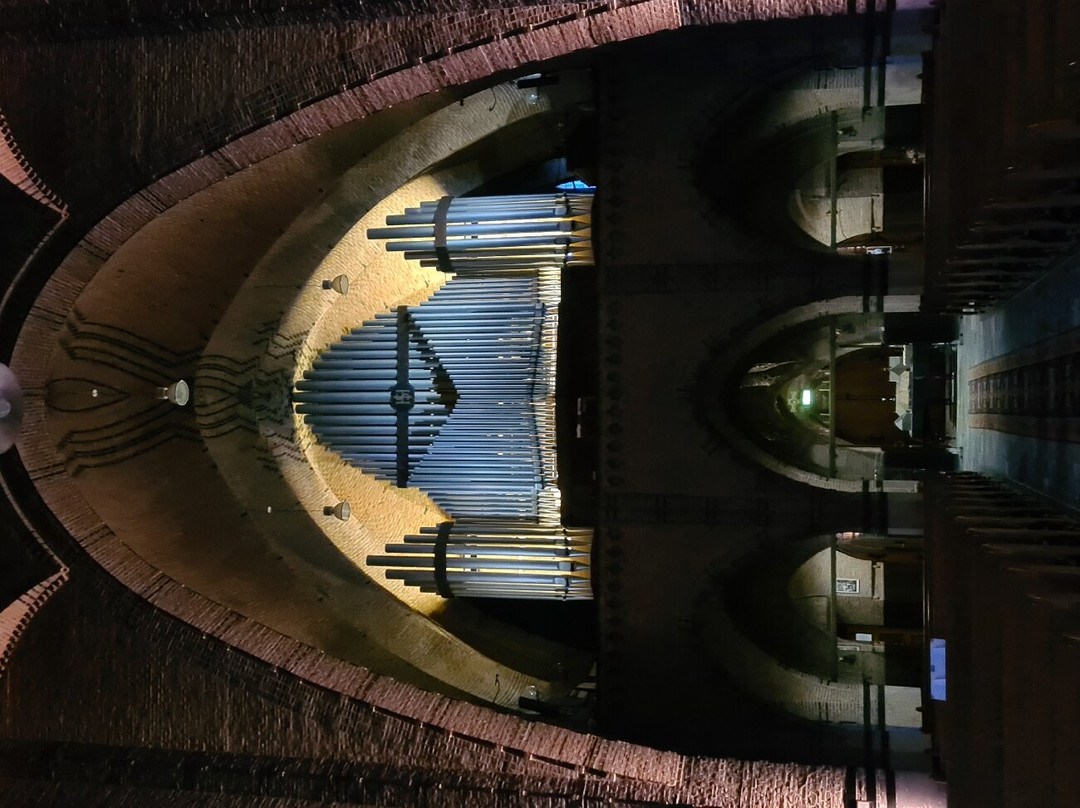 Sint Jan de Doper-Waalwijk必去景点