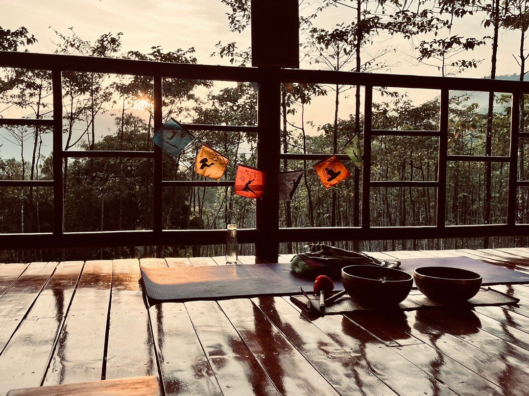 Khaosok Yoga-素叻他尼必去景点