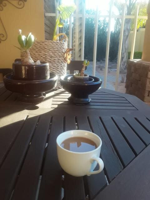 Belvedere Guesthouse