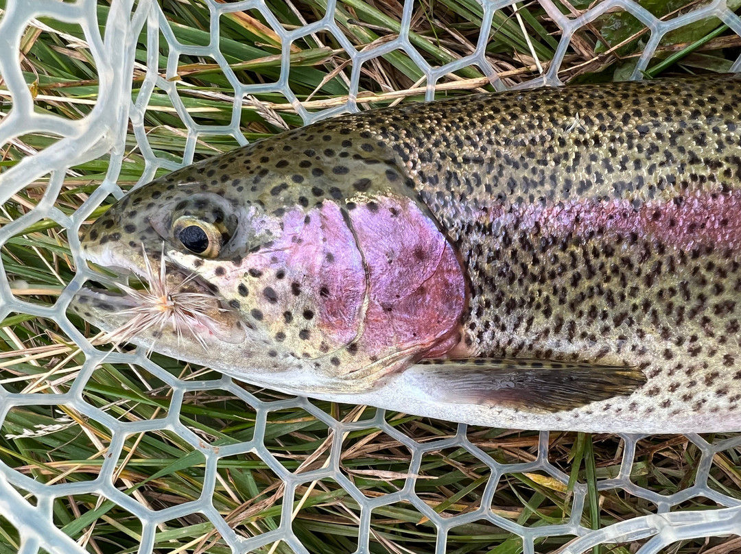 Angler's Lodge主图