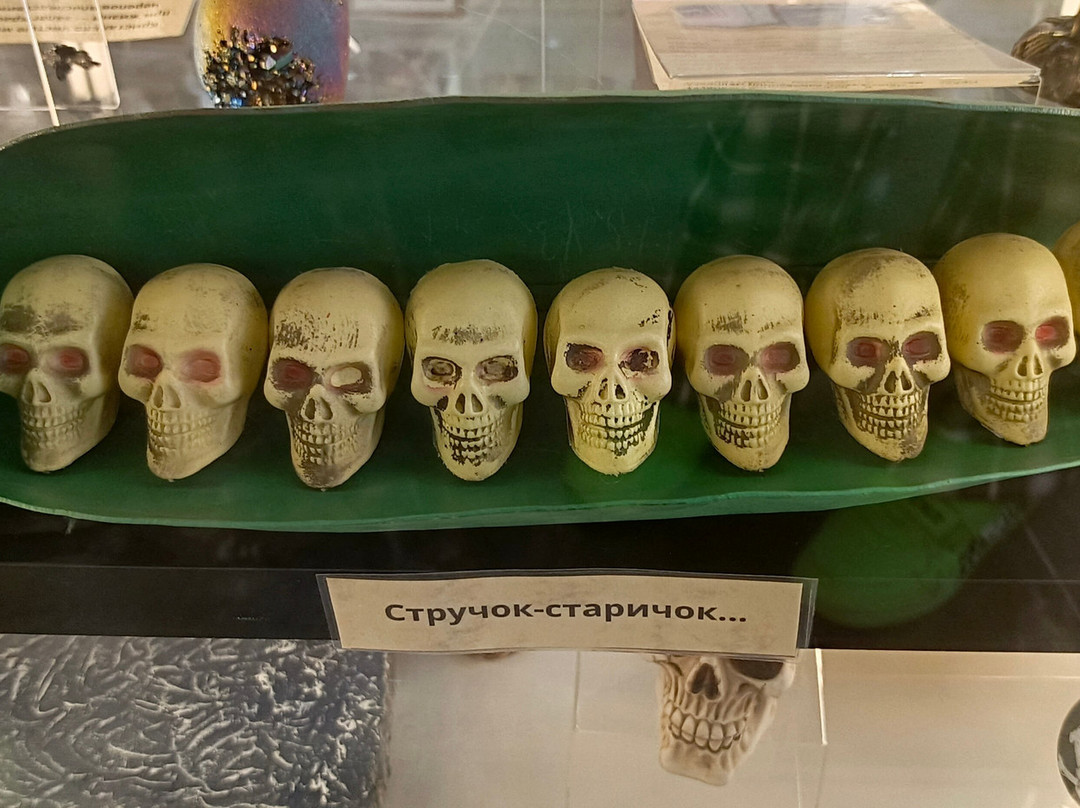 Museum of Skulls and Skeletons景点图片