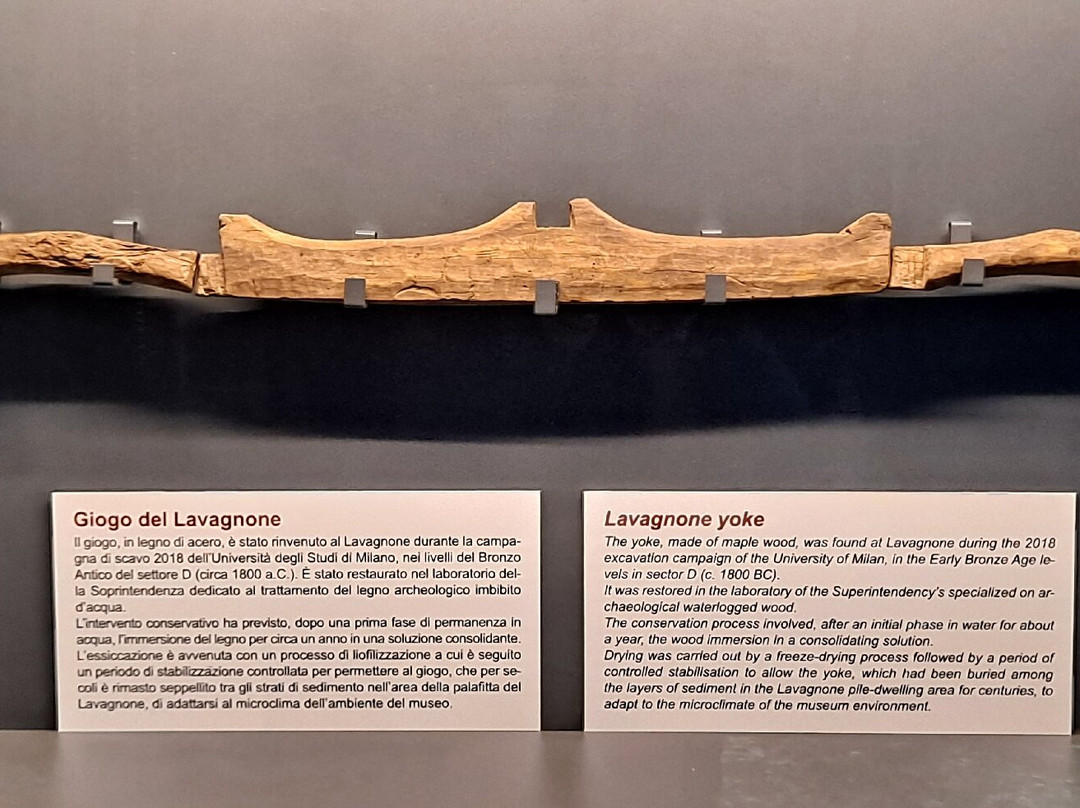 Museo Civico Archeologico Giovanni Rambotti-代森扎诺-德尔加达必去景点