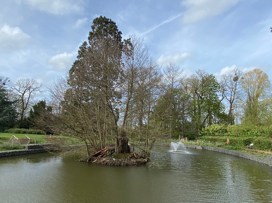 Hylands Gardens & Parkland景点图片