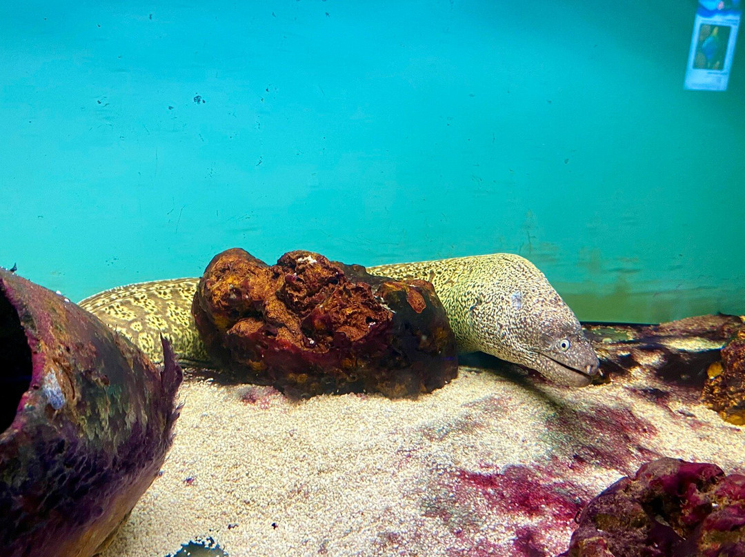 Deniz Dunyasi-安卡拉必去景点