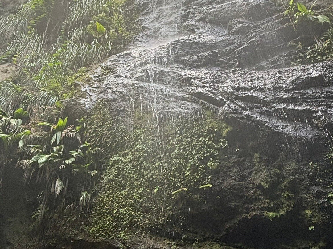 Cascade Couleuvre-Le Precheur必去景点