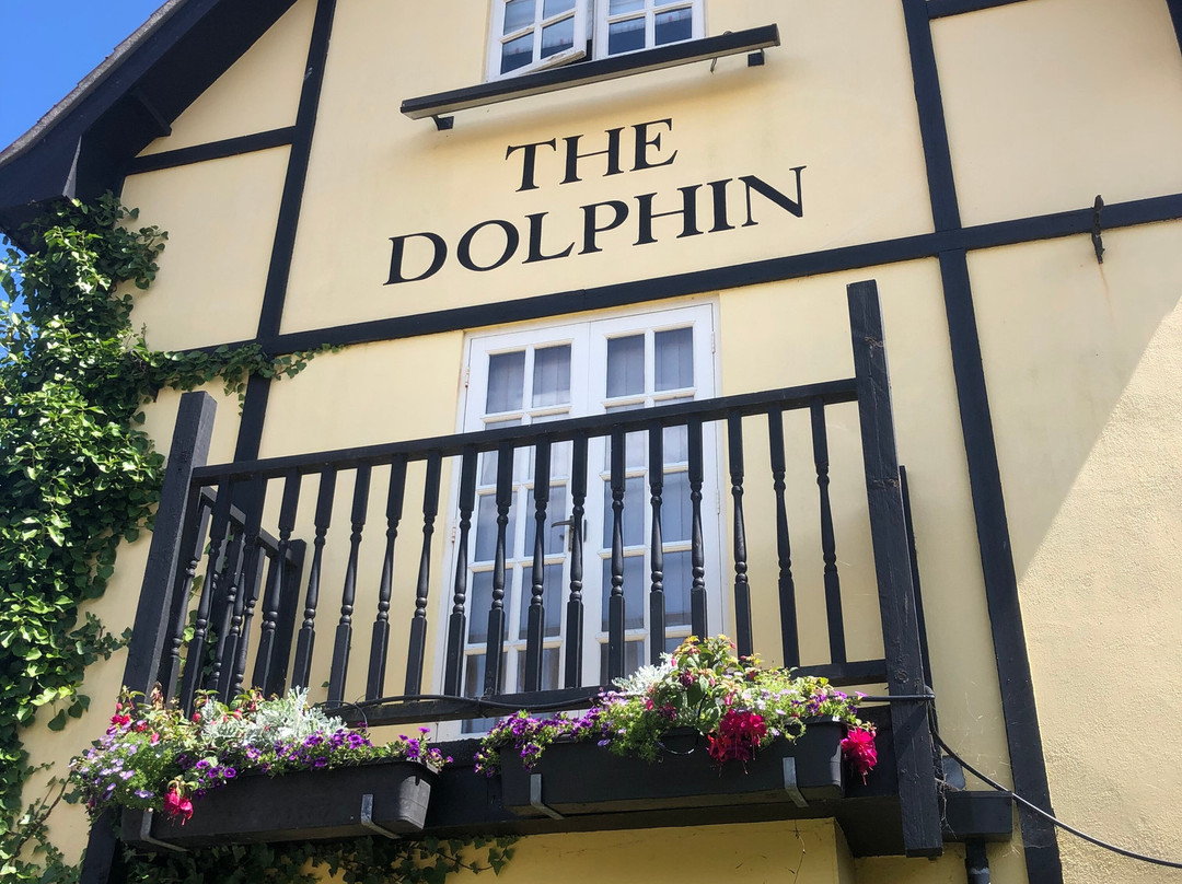 The Dolphin Inn主图