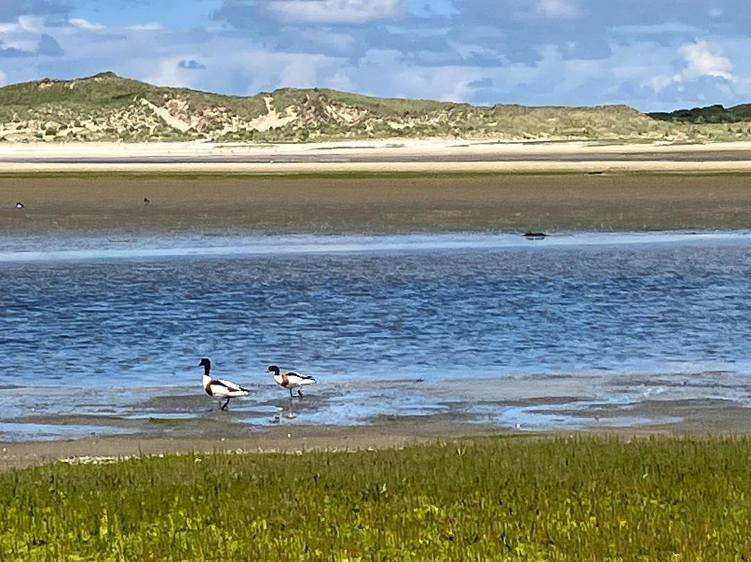 Hotel Het Anker Van Texel主图