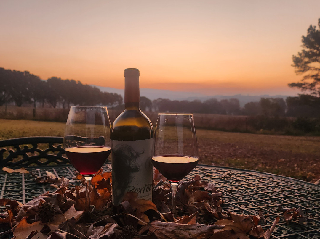 Ardmore Guest Farm主图