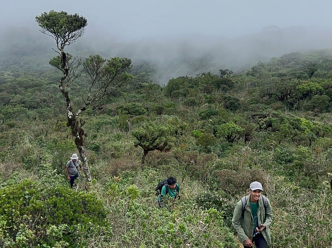 Thotupola Kanda Nature Trail-Ohiya必去景点