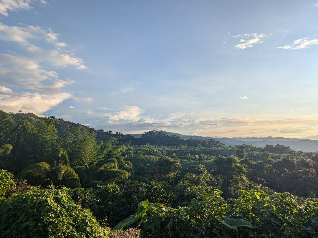 Rancho Saman景点图片