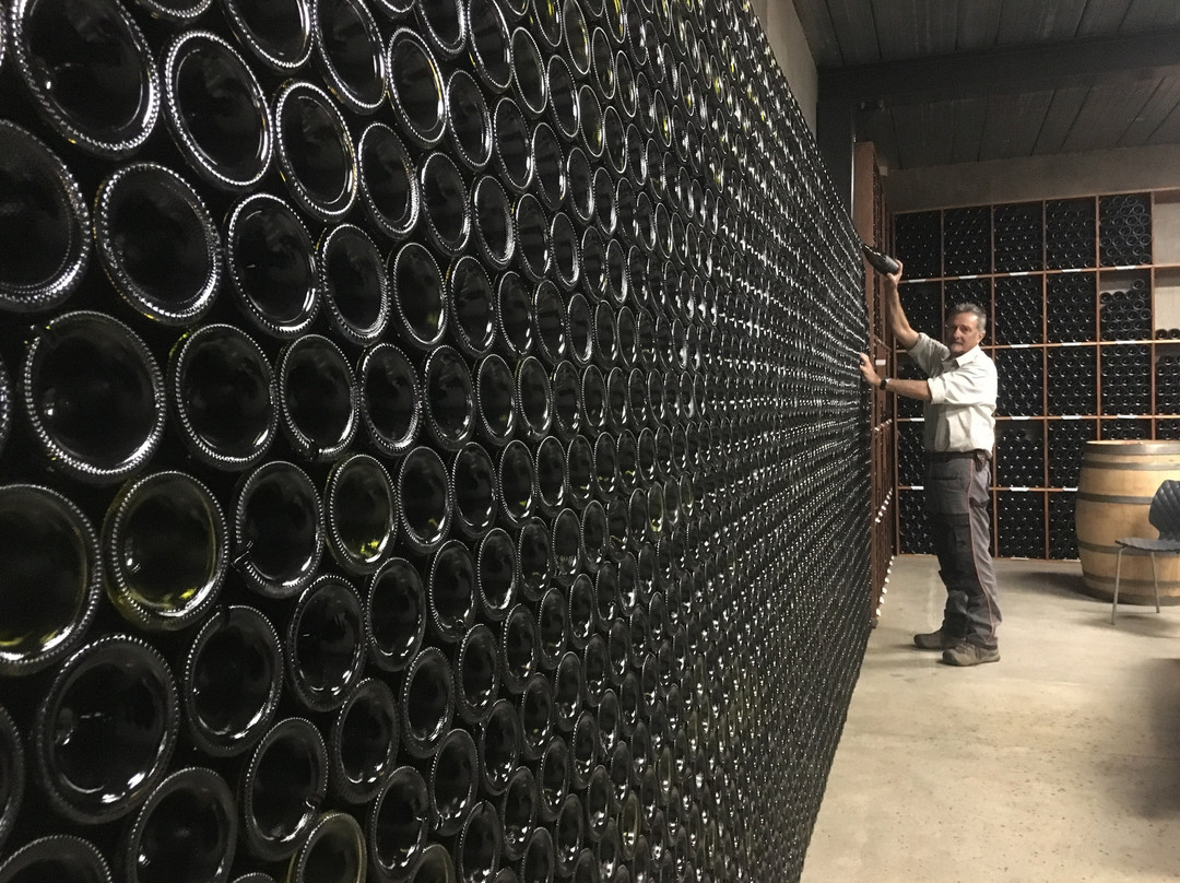 Savina Lane Wines景点图片