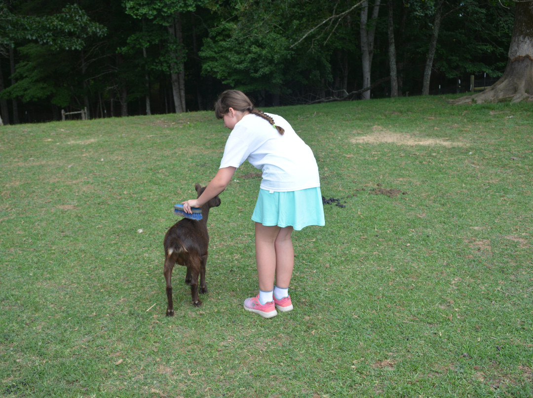 Little Tail Farms-Dunlap必去景点