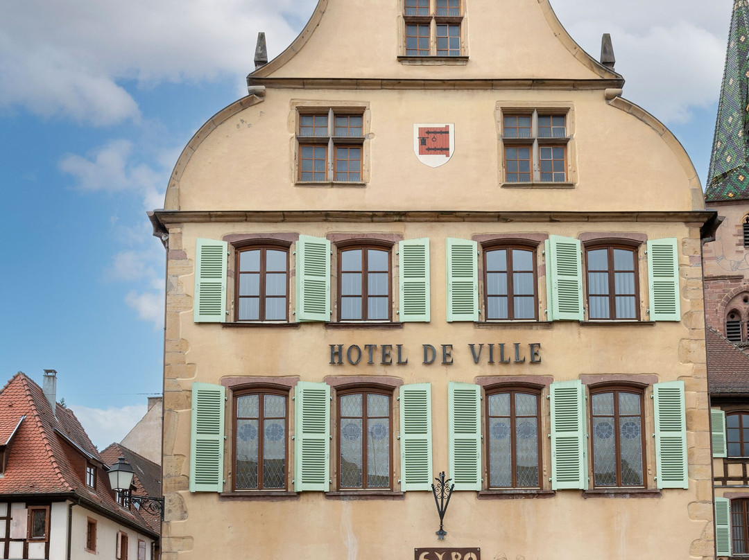 Hotel de Ville (Mairie)景点图片
