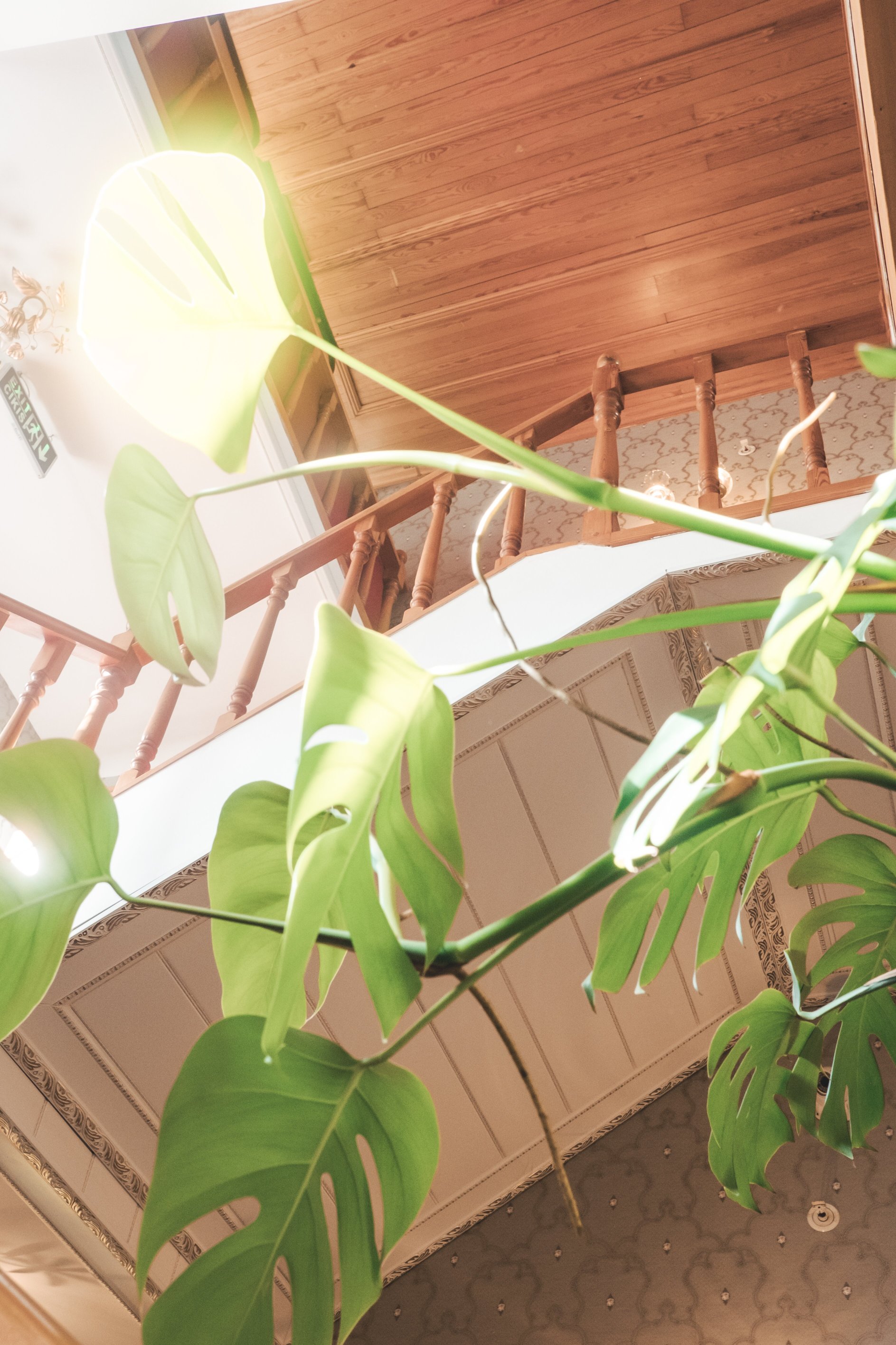 Ada Palas Hotel Buyukada-浴室