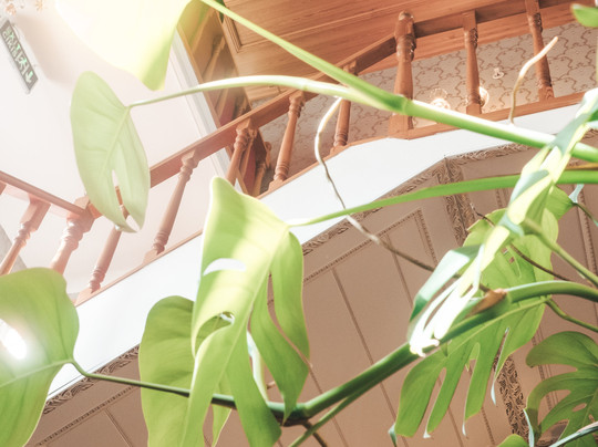 Ada Palas Hotel Buyukada主图