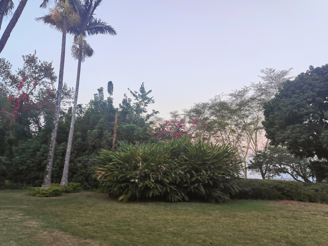 雾观普罗提酒店主图