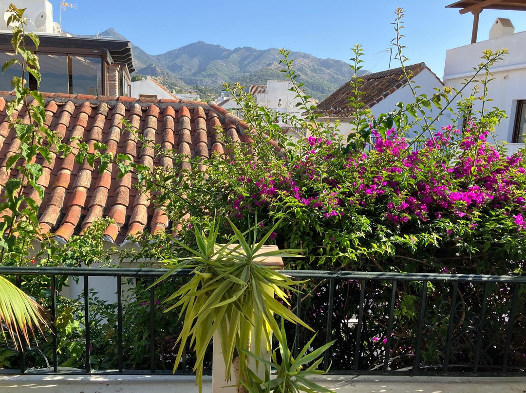 La Villa Marbella主图