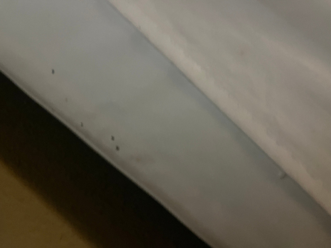 Comfort Suites - Kings Island主图