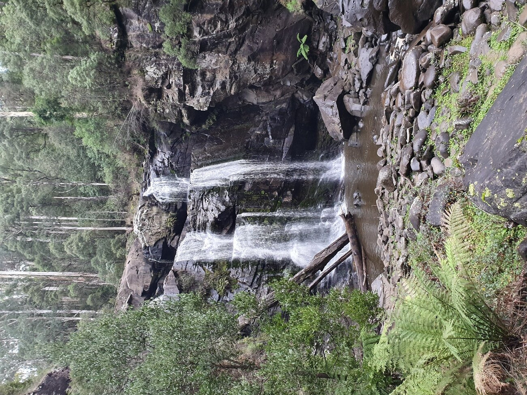 Stevensons Falls景点图片