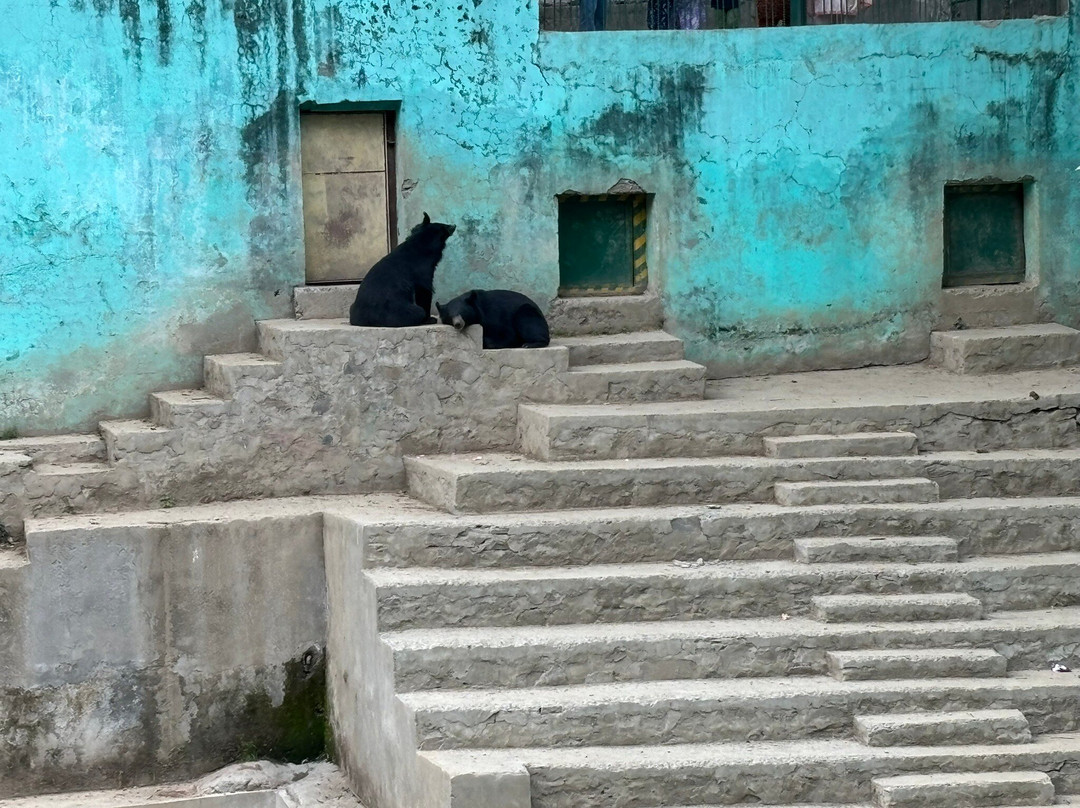 Himalayan Nature Park-Kufri必去景点