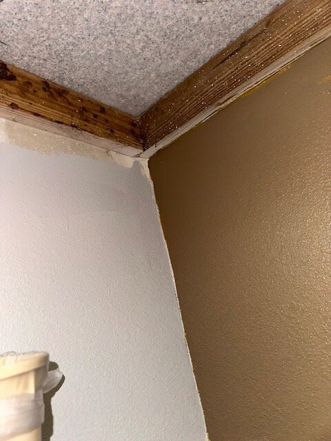 Mockingbird Inn & Suites主图