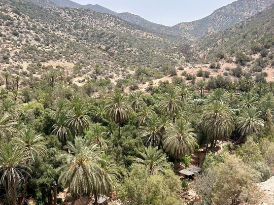 Outing Tours-阿加迪尔必去景点