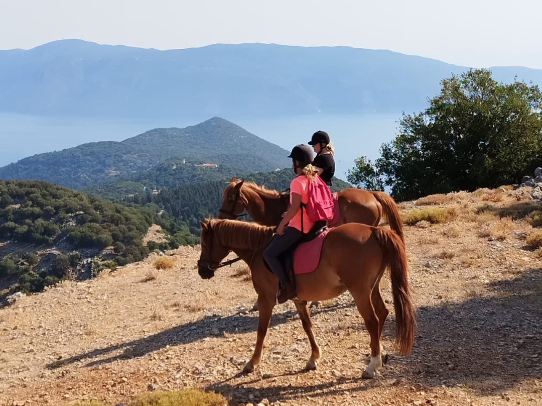 Bavarian Horse Riding Stables-萨米必去景点